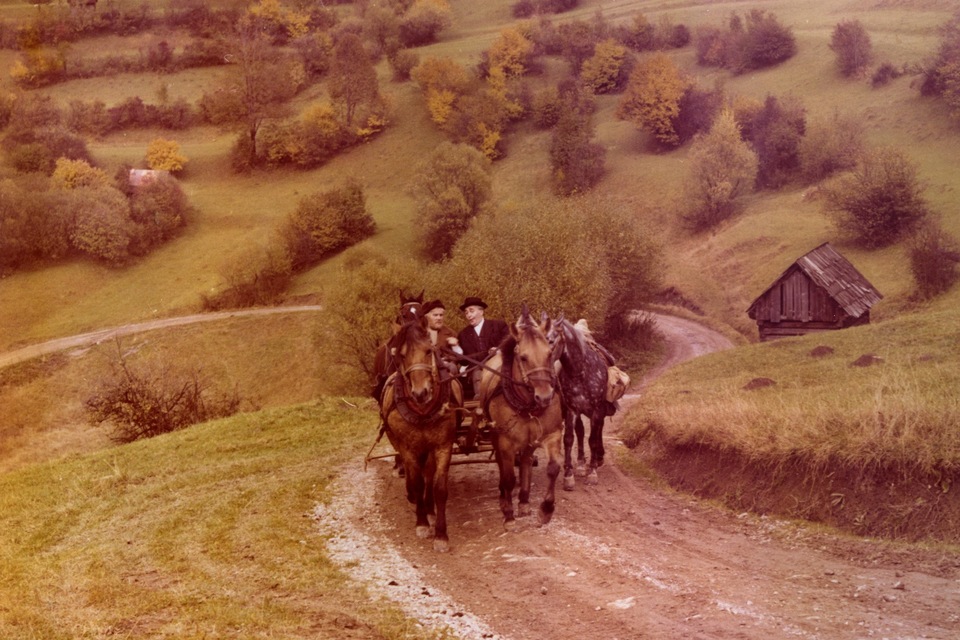 Najlepšie poviedkové filmy online