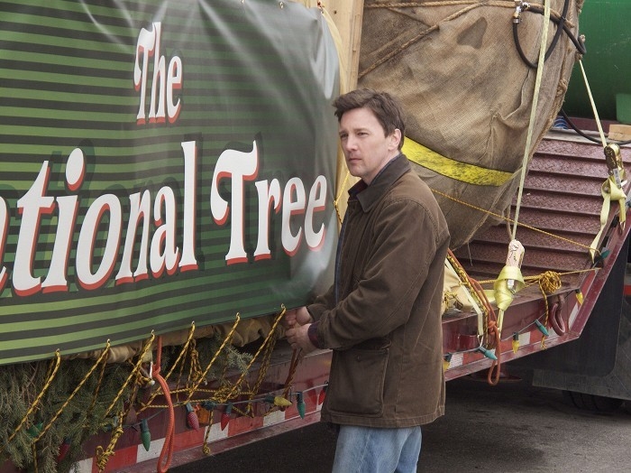 Film Národní vánoční strom