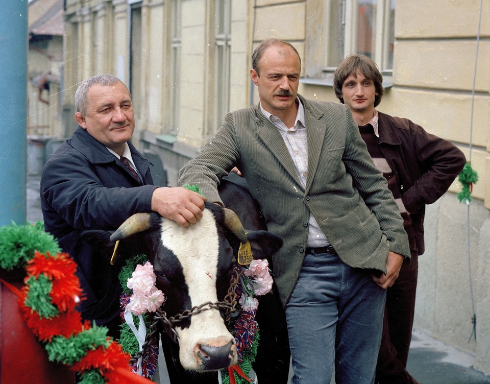 The best slovakian series from year 1988 online