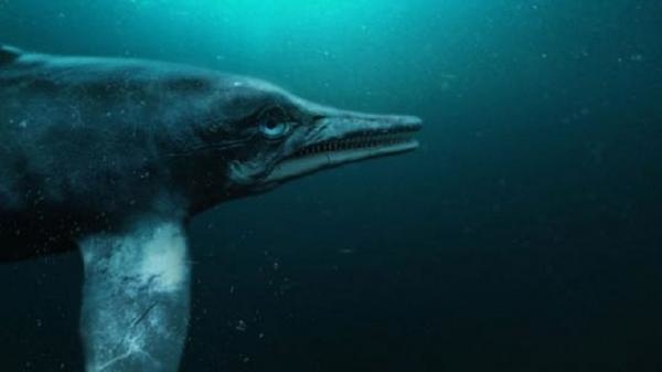 Attenborough a mořský drak