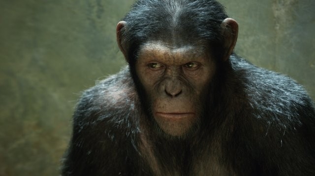 Andy Serkis - Zrození Planety opic