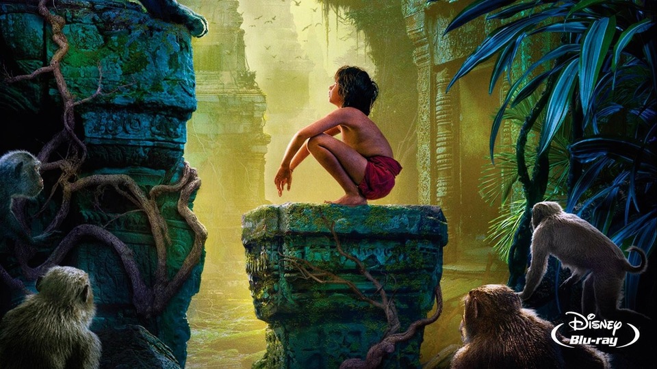 Film Kniha džungle