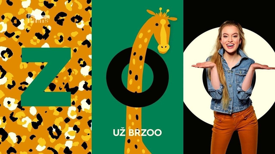 Series Zoo