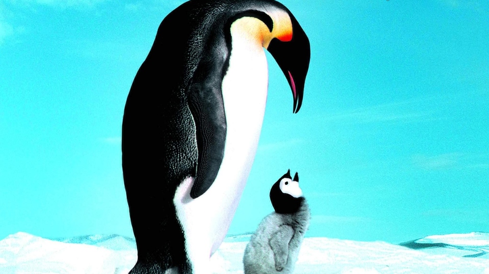 Dokument Putování tučňáků