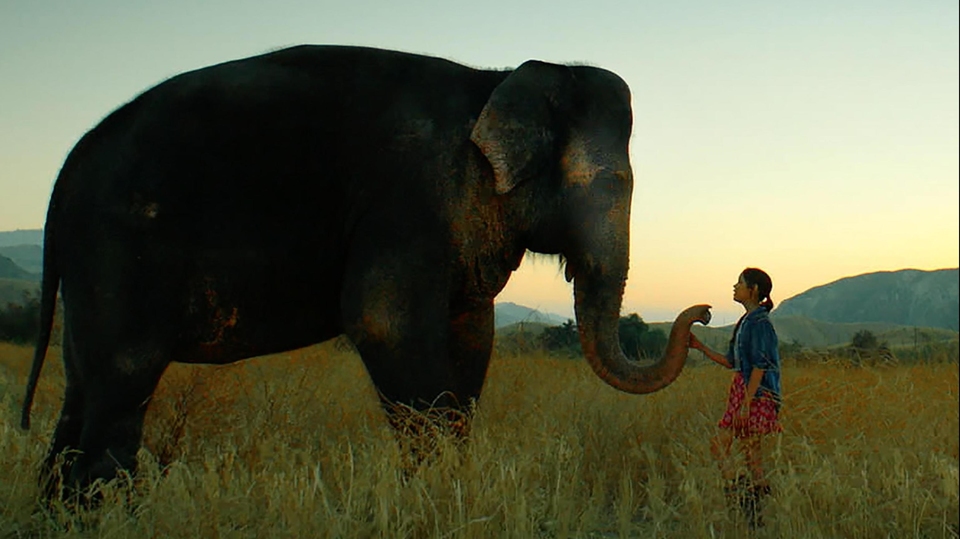 Film Slon na úteku