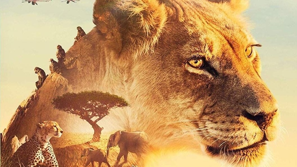 Documentary Serengeti