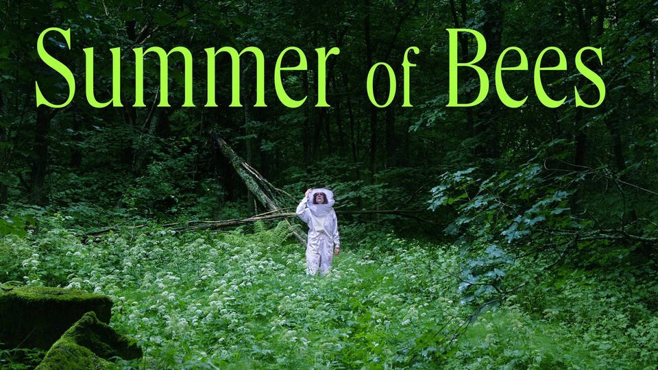 Film Summer of Bees