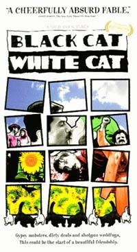 Film Čierna mačka, biely kocúr