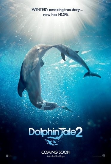 Film Můj přítel delfín 2