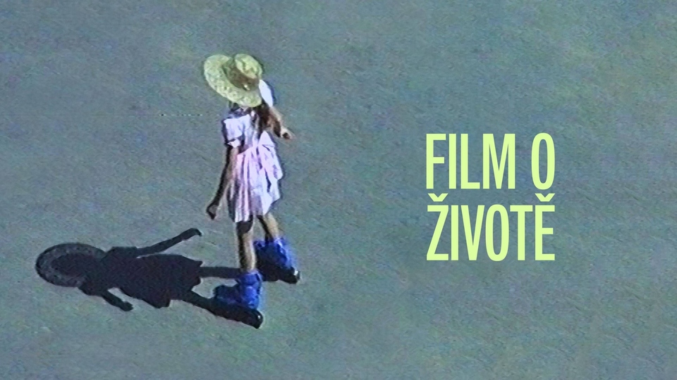 Nejlepší litevské filmy online