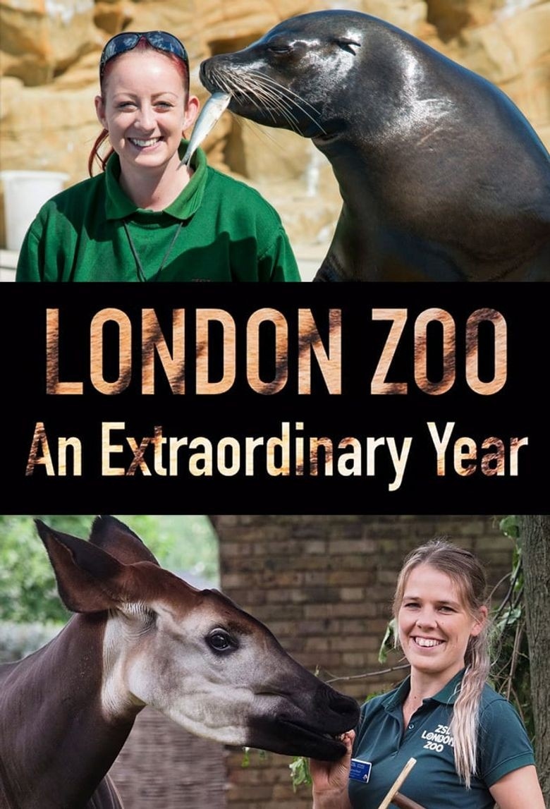 Documentary Londýnská zoo: Mimořádný rok