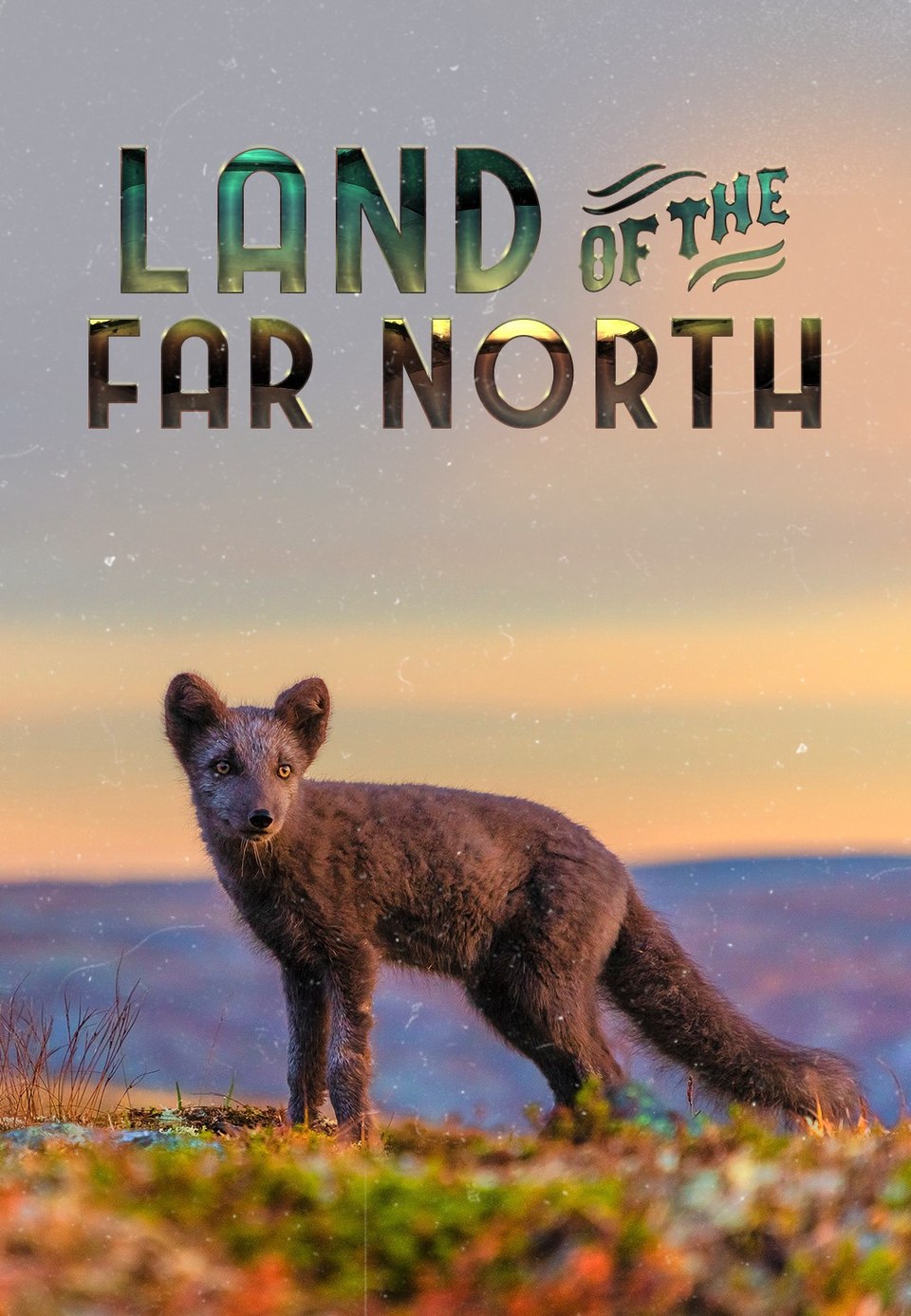 Dokumentarci Land of the Far North