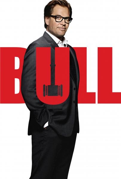 Bull: Súdny špecialista