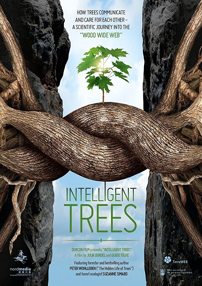 Documentary Inteligentní stromy