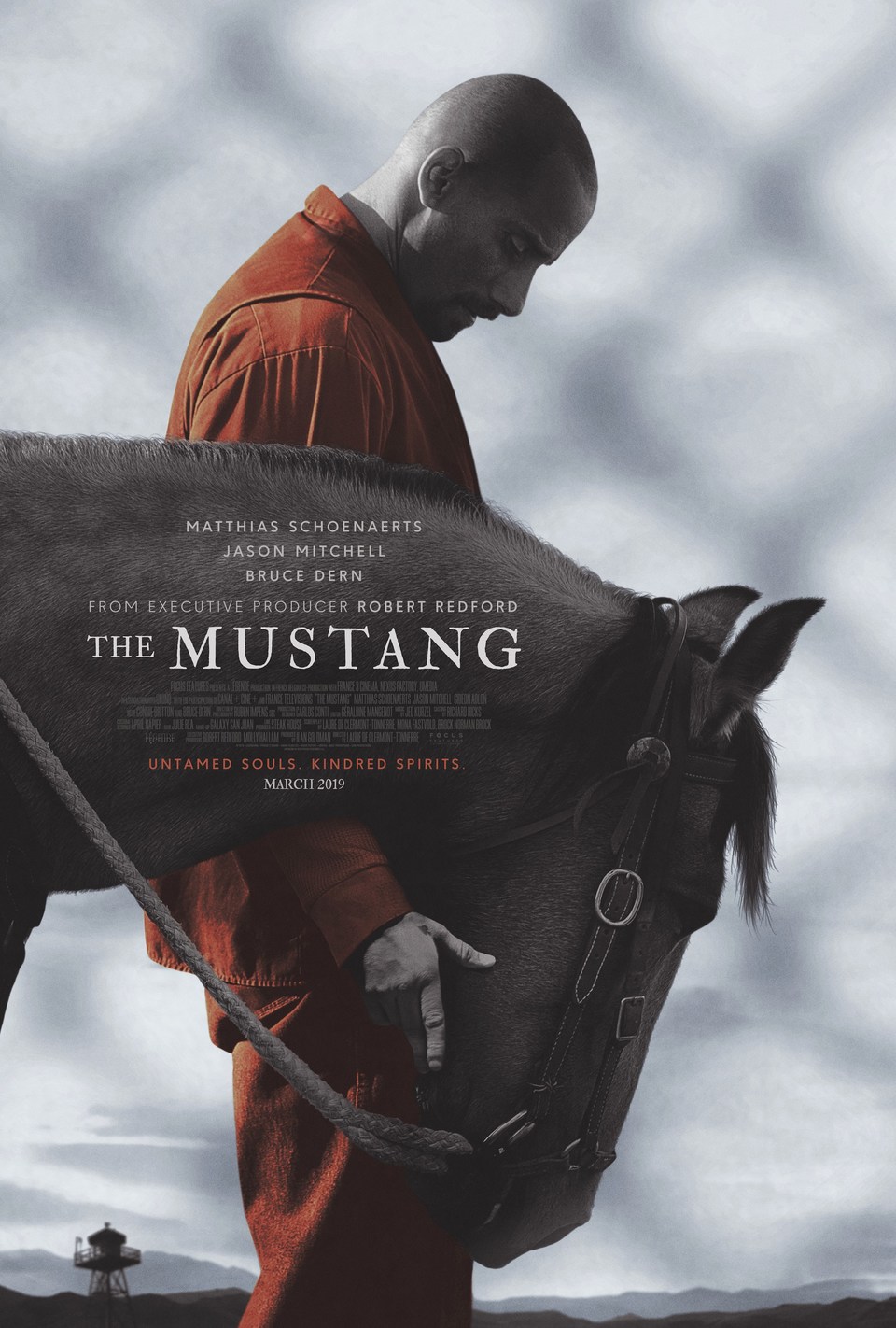 Film Mustang