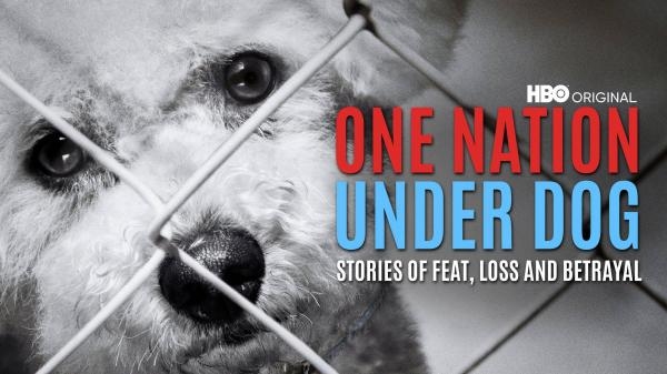 Národ pod psa: Příběhy o strachu, ztrátě a zradě
