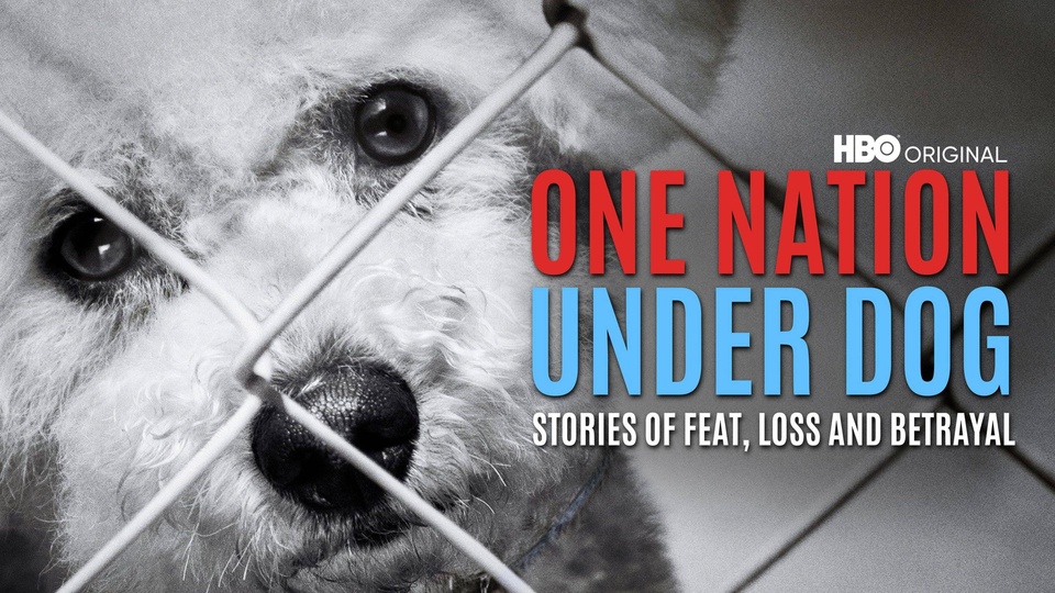 Dokument Národ pod psa: Příběhy o strachu, ztrátě a zradě