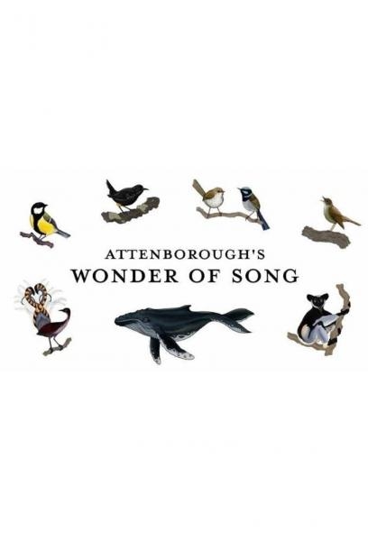 Attenborough i śpiew natury