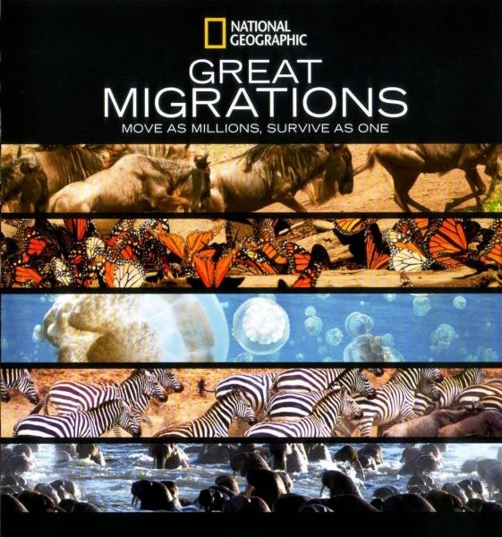 Velike migracije: Kompilacija XCIX