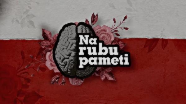 Na rubu pameti