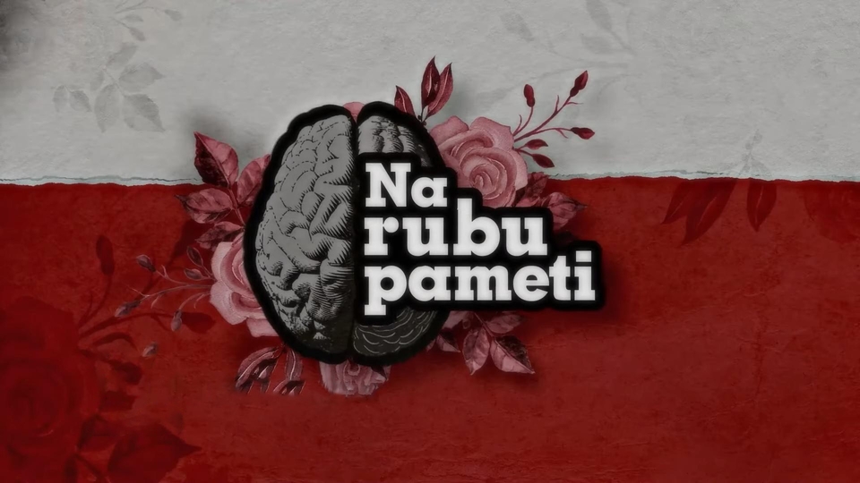 Serije  Na rubu pameti