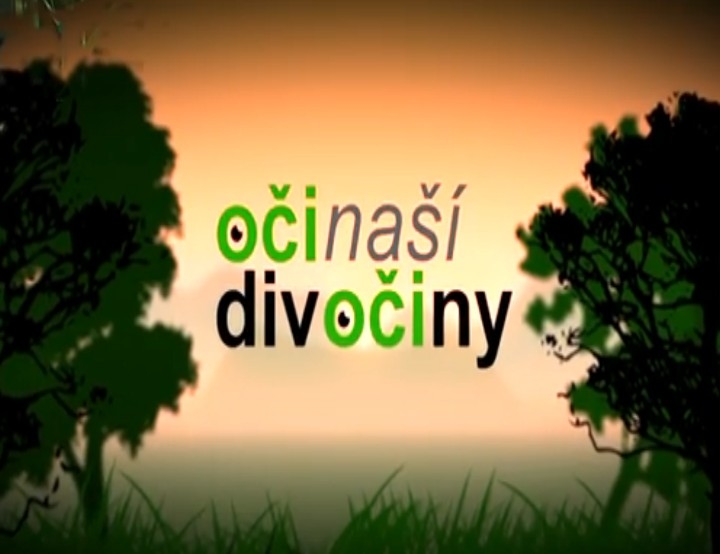 Documentary Oči naší divočiny
