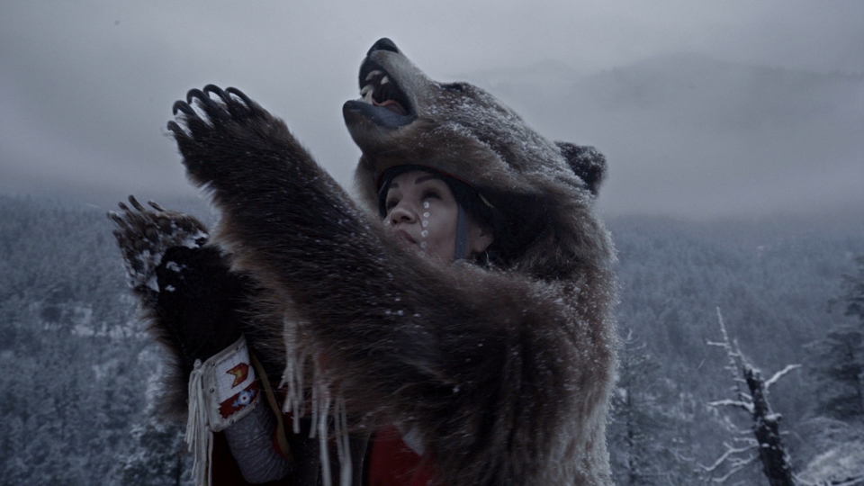 Documentary Superschopnosti medvědů
