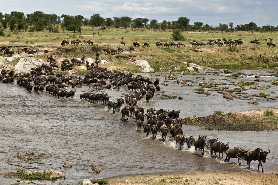 Documentary Nomádi ze Serengeti