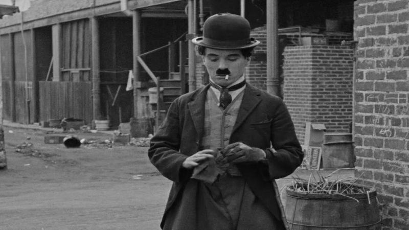 Chaplin šumařem