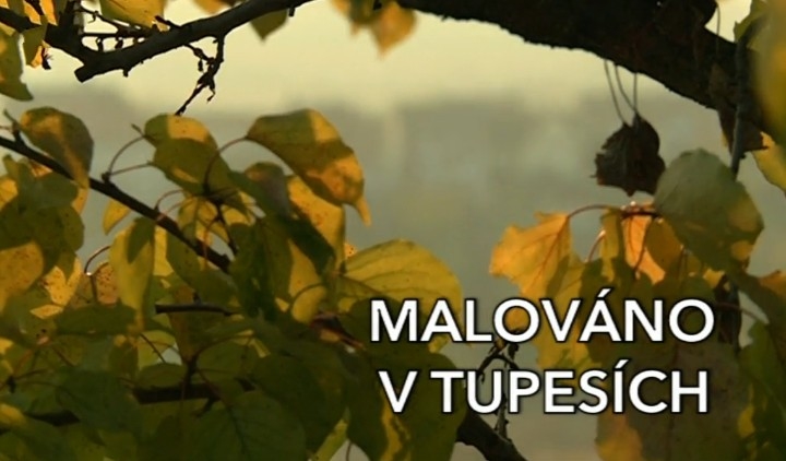 Documentary Malováno v Tupesích