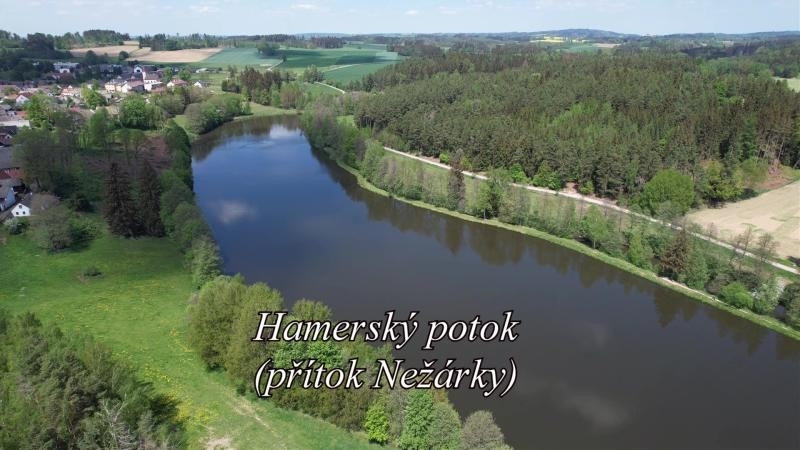 Documentary Hamerský potok - přítok Nežárky