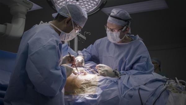 Chirurdzy: na krawędzi życia