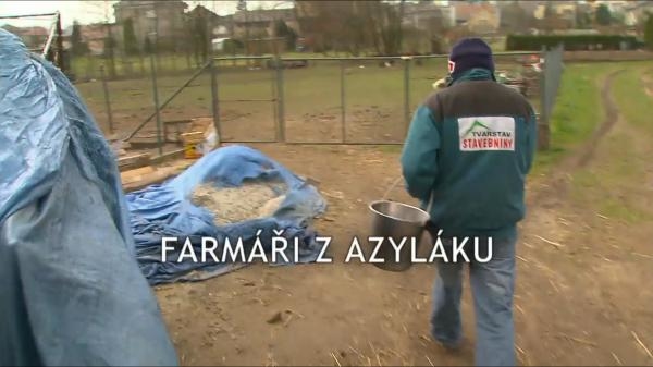 Farmáři z azyláku