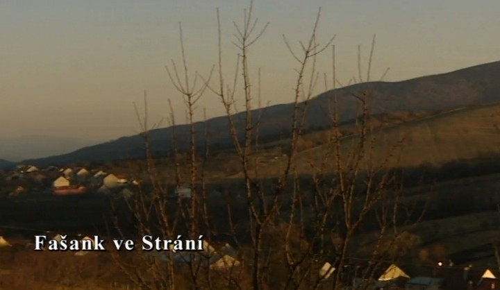 Documentary Fašank ve Strání