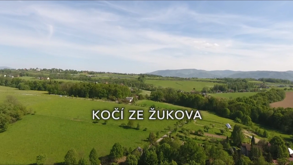 Documentary Kočí ze Žukova