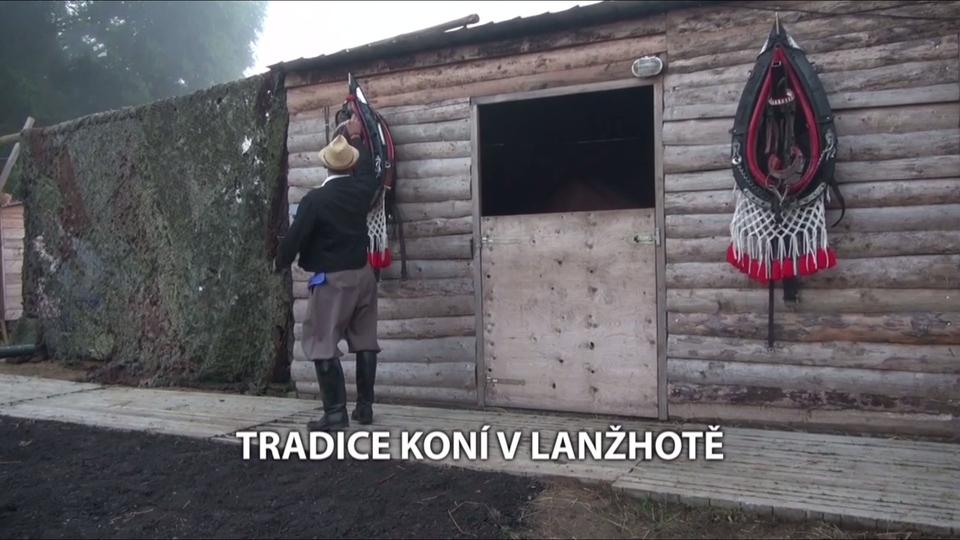 Documentary Tradice koní v Lanžhotě