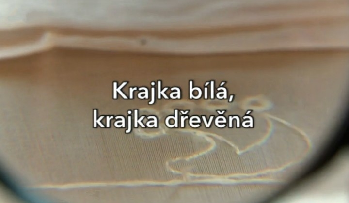 Documentary Krajka bílá, krajka dřevěná