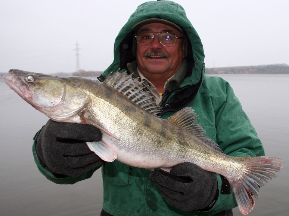 Hodula Fishing – Lov okounů ve městě Karlskrona