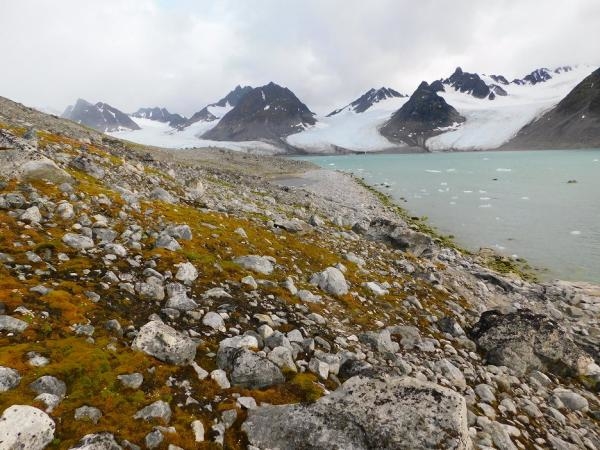 Grónsko: Přežití na konci světa