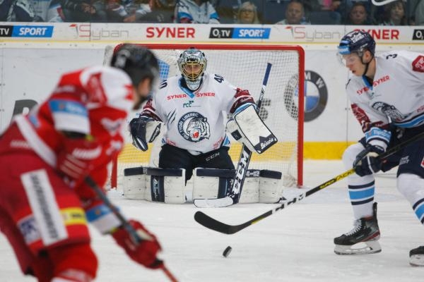 Hokej: HC Olomouc - Bílí Tygři Liberec