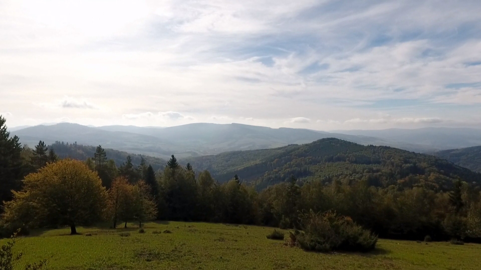 Documentary Svobodný prales