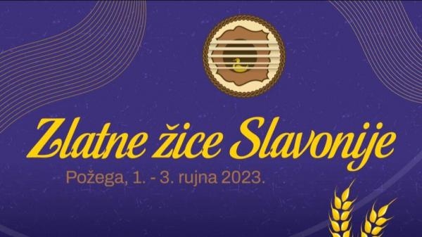 Zlatne žice Slavonije - festivalska večer 2023.