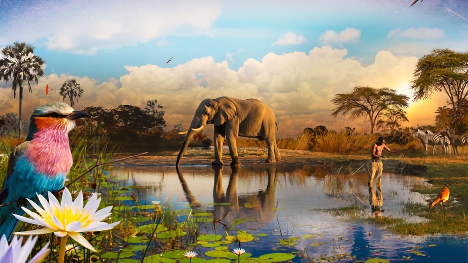 Documentary L'Okavango, source de vie